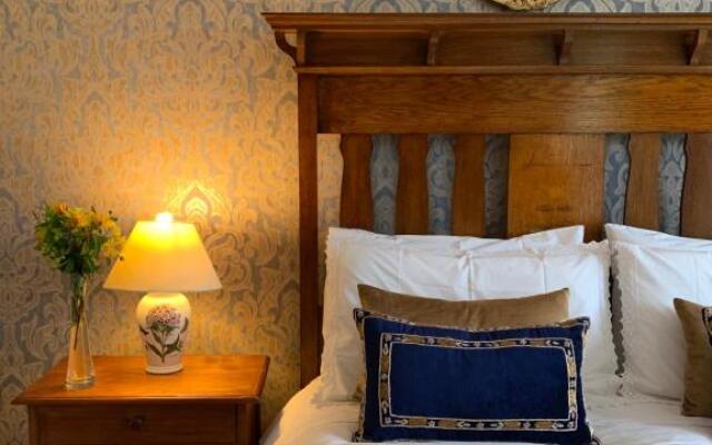 Clones 'Greenjoy - B&B