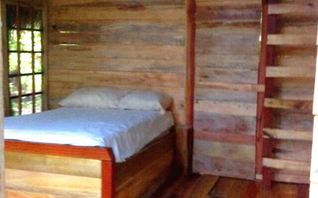 Cocao Rainforest Lodge