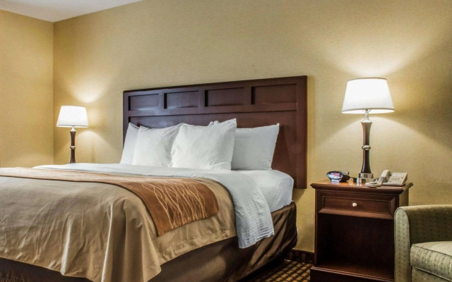 Comfort Inn & Suites Farmington - Victor