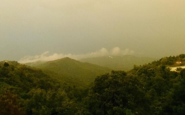 The Wonder Valley Resort