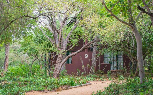 Burchells Bush Lodge