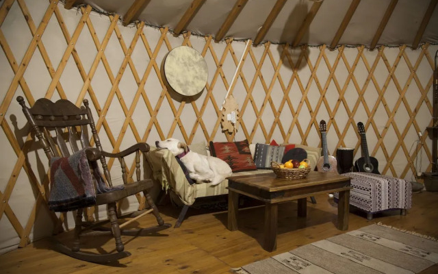 Yurt Located in a Little oak Grove