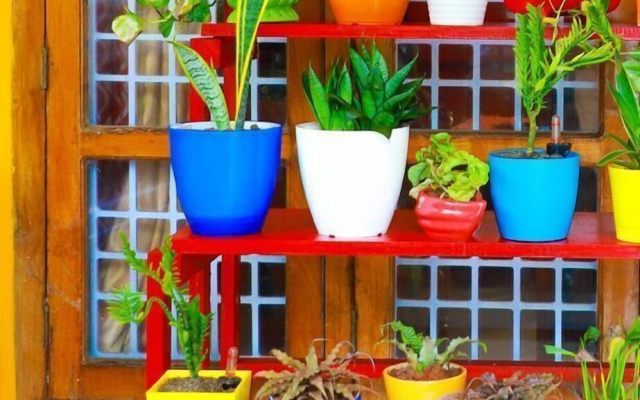 Nutshell Airport Retreat by the Sea