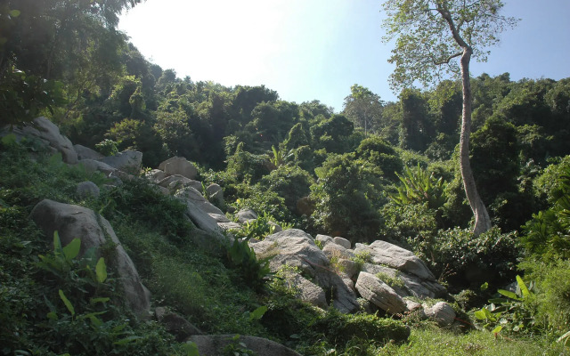 The Hermitage Kata-Phuket