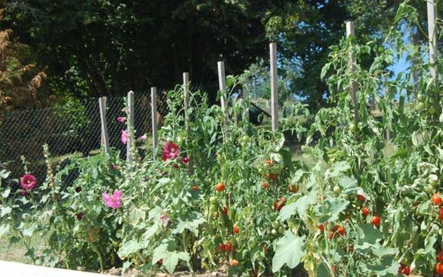 Gîte Cangey, 4 pièces, 6 personnes - FR-1-381-82