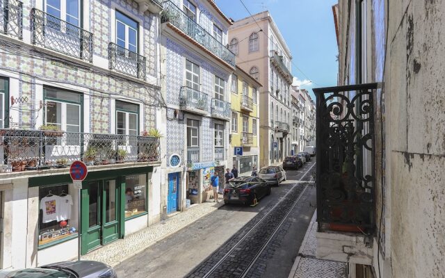 Santa Catarina Elegant by Homing