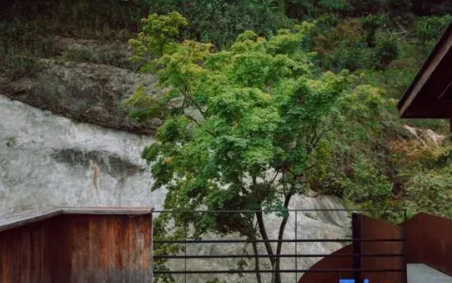 Mount Qingcheng Houshanli Homestay