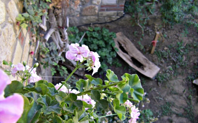 Stone House Andromeda