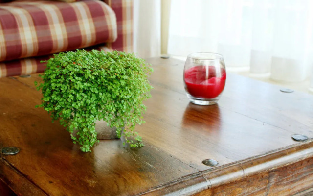 Logement De witte klok