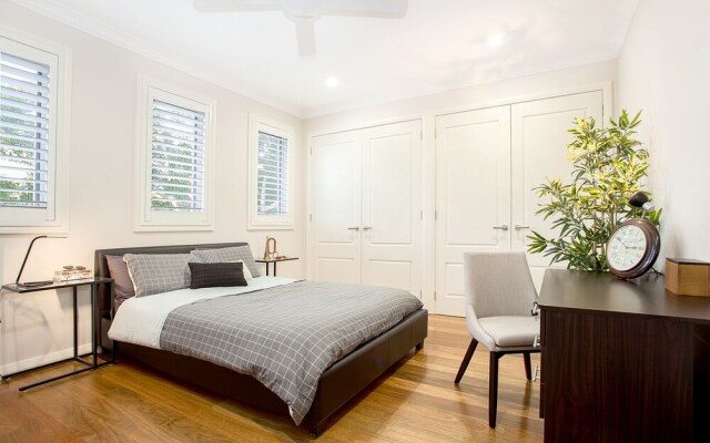 Wilber Wonder (H736)