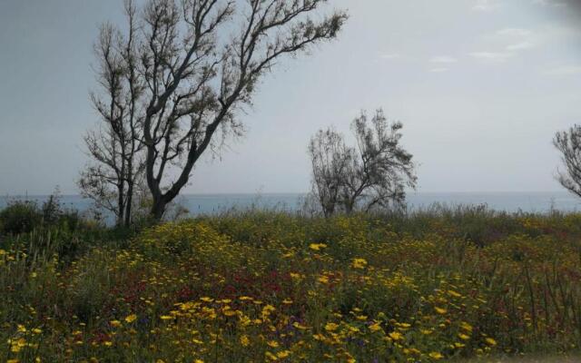 Residence Conchiglia