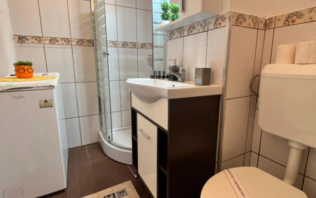 Miha modern and central apartament Malul Mureșului