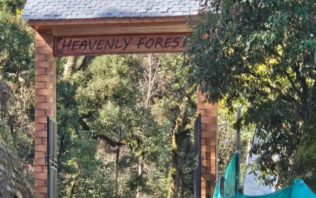 Heavenly Forest Huts