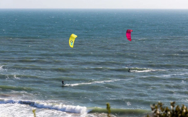 Daintree - Bournemouth