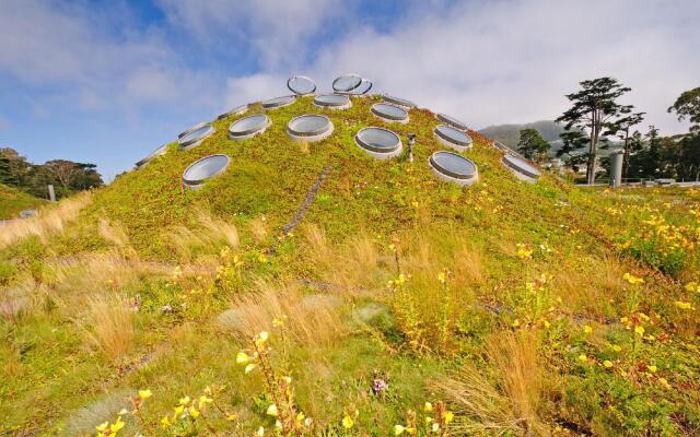 California Academy of Sciences