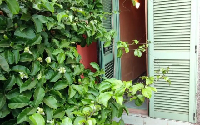 Sal Service djasal residence with pool