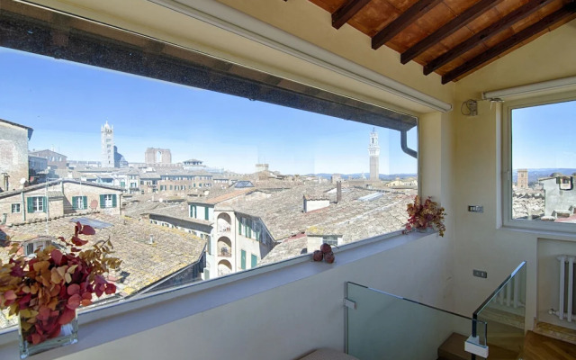 Rinidia Siena Centro