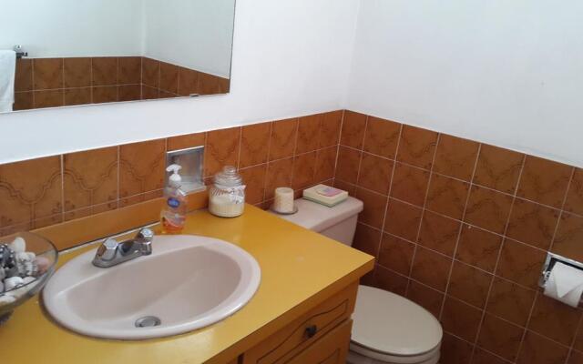 Suites & Apartments San Benito Zona Rosa