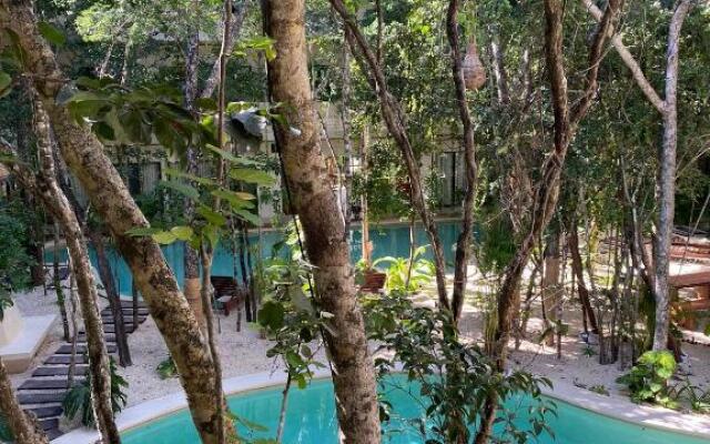 Jungle View 2bed 2bath Condo/ Wi-Fi/ Pool/ Gym