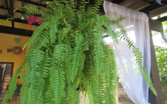 Cheiro De Mar Guest House