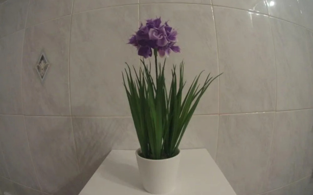 Casa vacanze Borgo Margherite