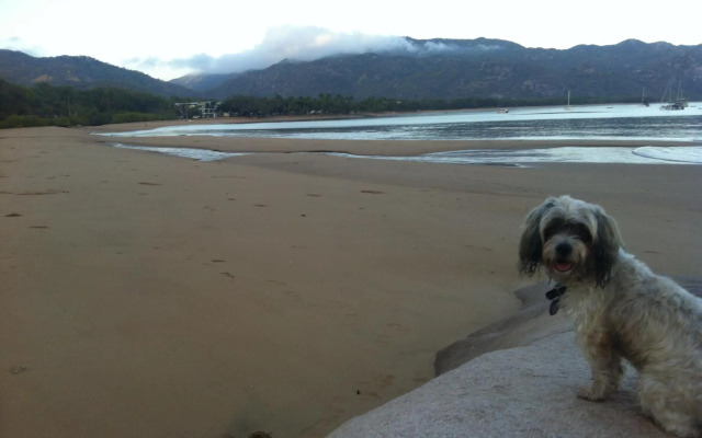 Stunning Magnetic Island Home,Private, Large Pool,Adults Only