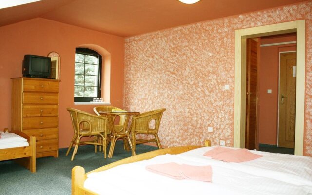 Hotel Aurum Černý Důl