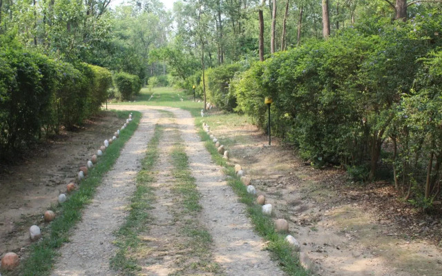 Suklaphanta Jungle Cottage