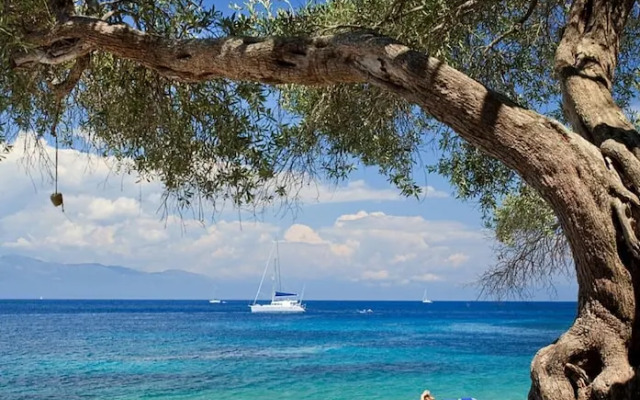 Monodendri Blue in Paxi