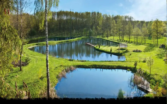 Rustic Riverside Cabin in Forest