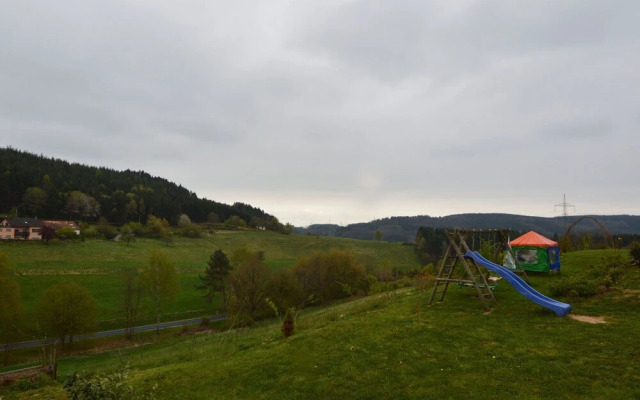 Modern Apartment in Nimshuscheid Near the Forest
