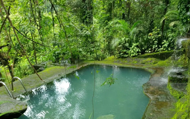 Jungle Retreat Wayanad