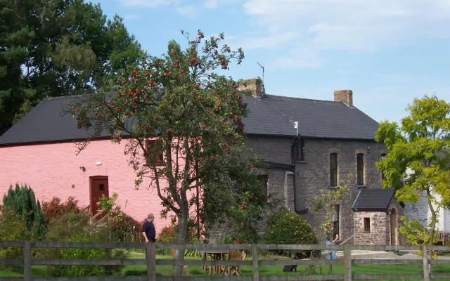 Brynderwen