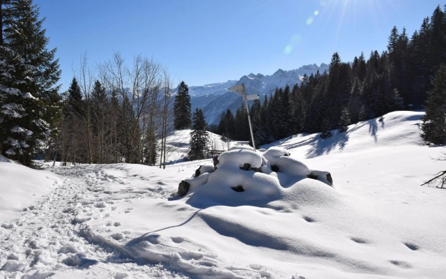 Ferienwohnung Alpblick