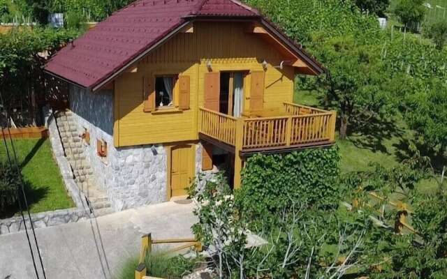 Vineyard cottage Stopar
