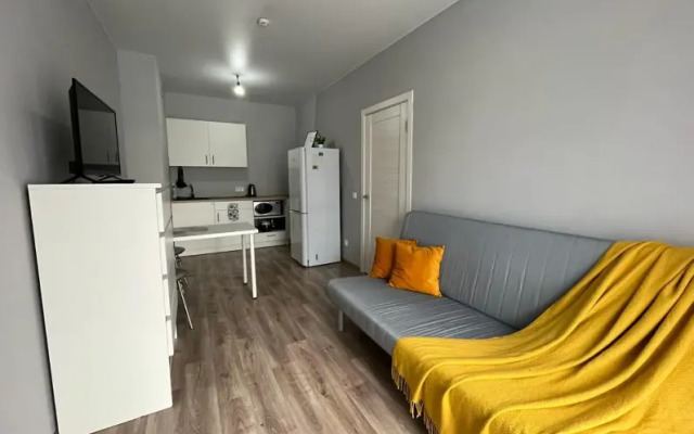 Apartments on 53A Karpinsky Street