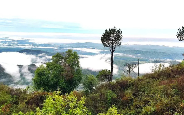 Jaitak Resort By Pine