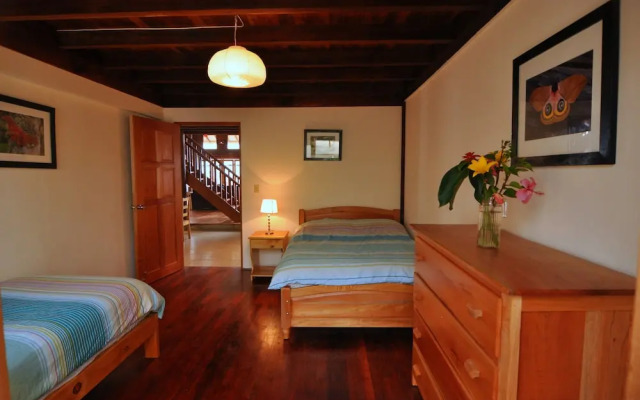 Mount Totumas Cloud Forest