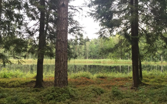 Domek Letniskowy Na Mazurach