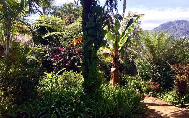 Magoebaskloof Mountain lodge