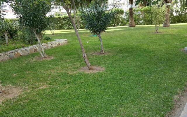 Study Near Malaga And The Beach