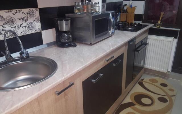 Apartament Cosmin Strada Rozelor Etaj 4