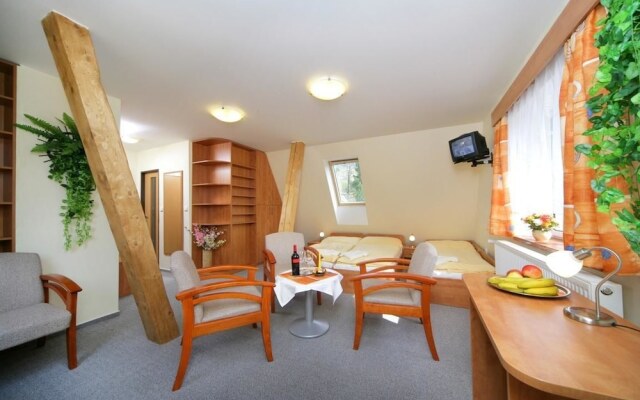 Hotel Stary Mlyn