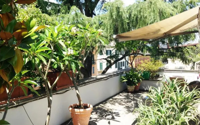 Purple Home Penthouse