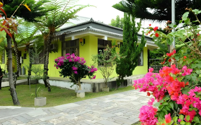 Pens Tree Bed and Breakfast