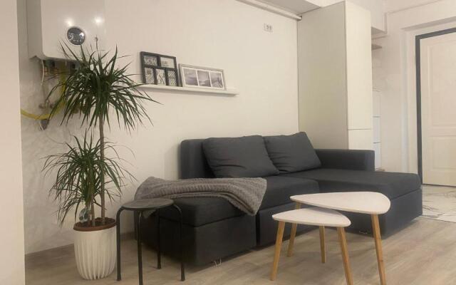 Maia Minimalist Studio