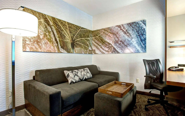 SpringHill Suites by Marriott Harrisburg Hershey