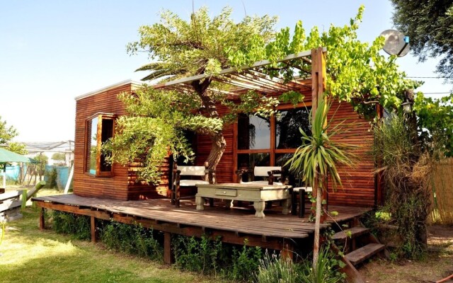 Caba�as Sangiovese Club