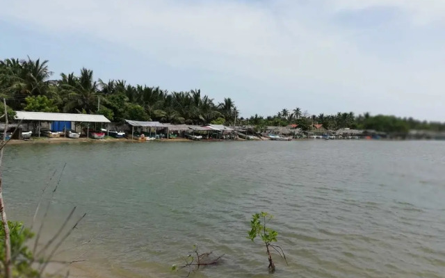 dolphin wadiya