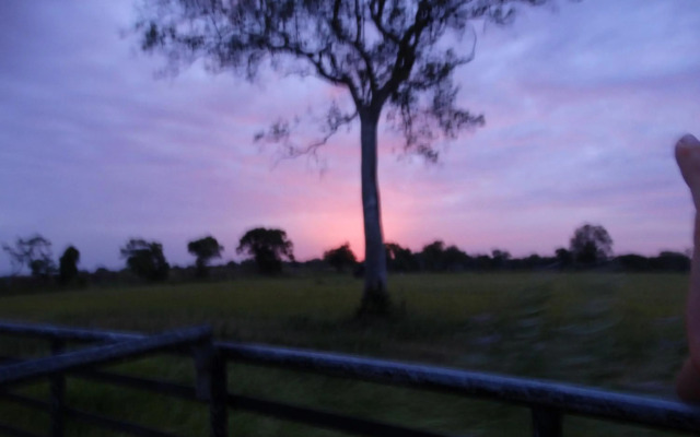 Thirumalai park